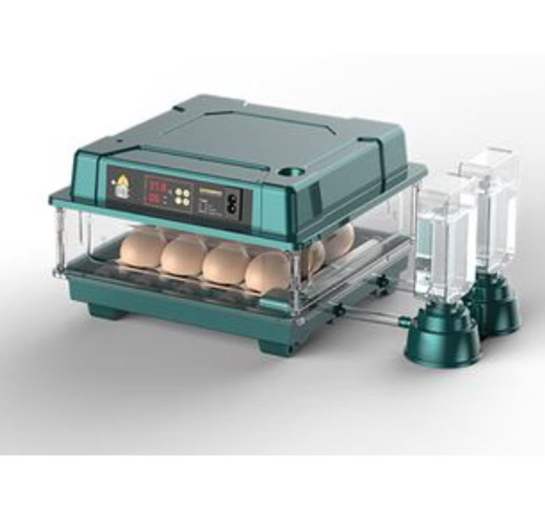 Discover the Benefits of an Automatic Egg Incubator